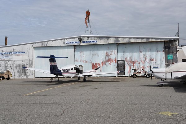 DSC 8106