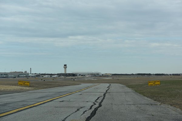 DSC 7919