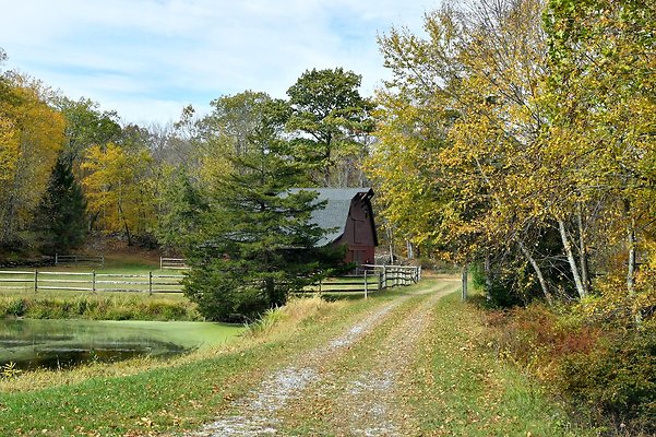 Barn Paddock