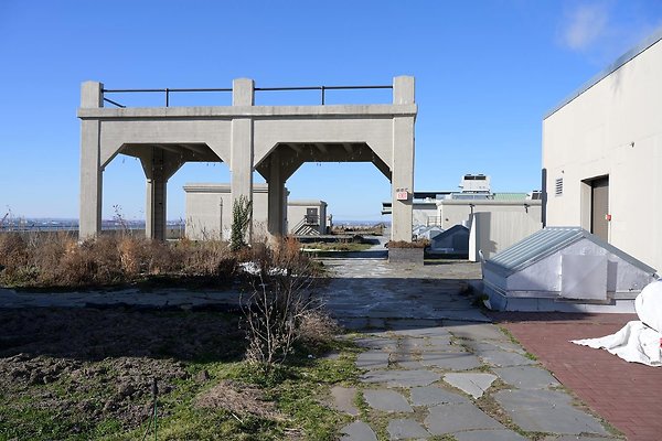 DSC 6591