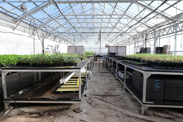 Greenhouse