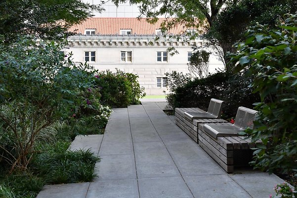 DSC 5686