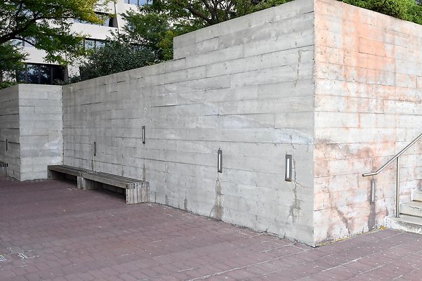 DSC 5691