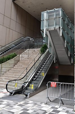 DSC 5659