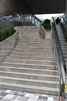 DSC 5661