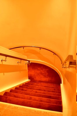 DSC 6012
