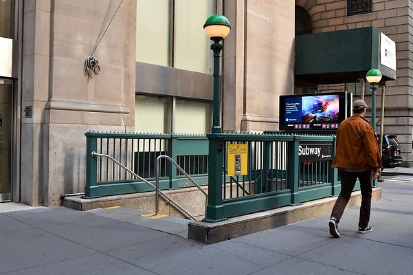 DSC 5560