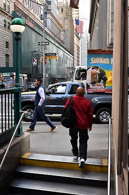 DSC 5565