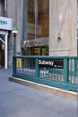DSC 5556
