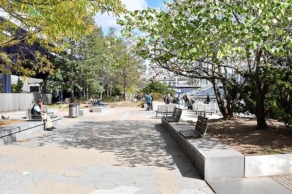 DSC 5321