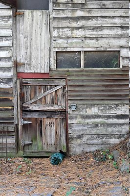 DSC 6366