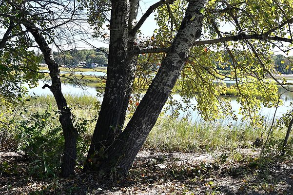 DSC 6828
