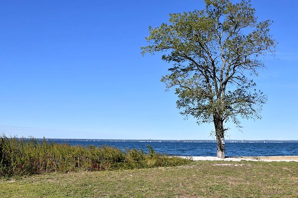 Fox Point Club Lot and Trees