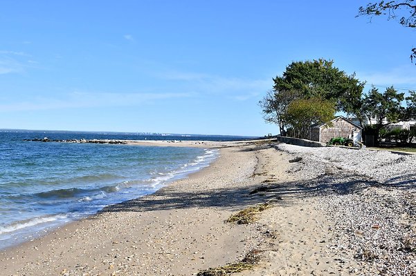 DSC 6665