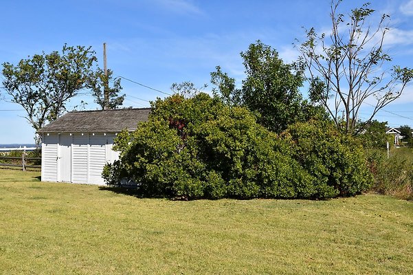 DSC 6810